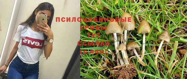 гашик Нея